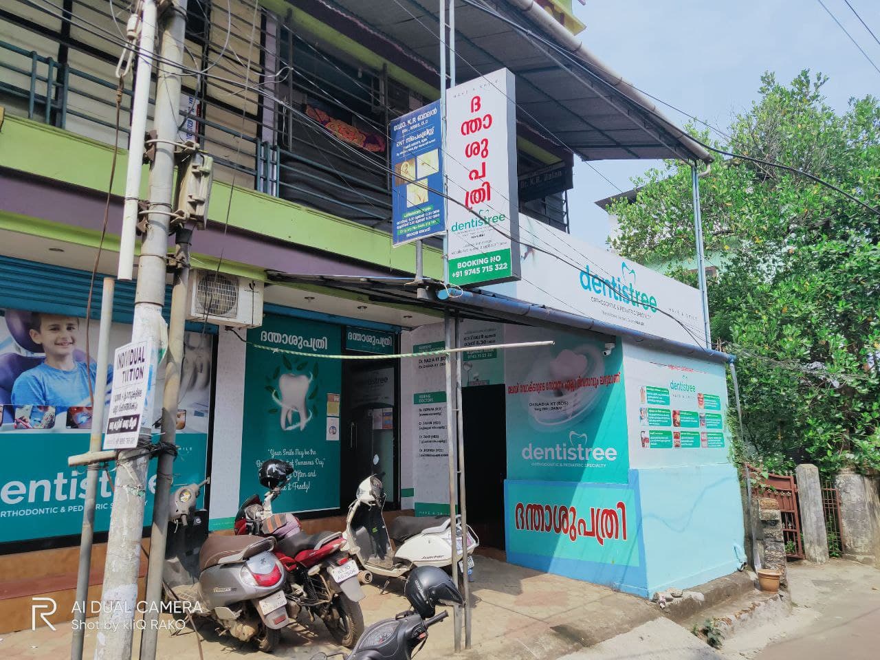 Dentistree Pediatric And Orthodontic Centre