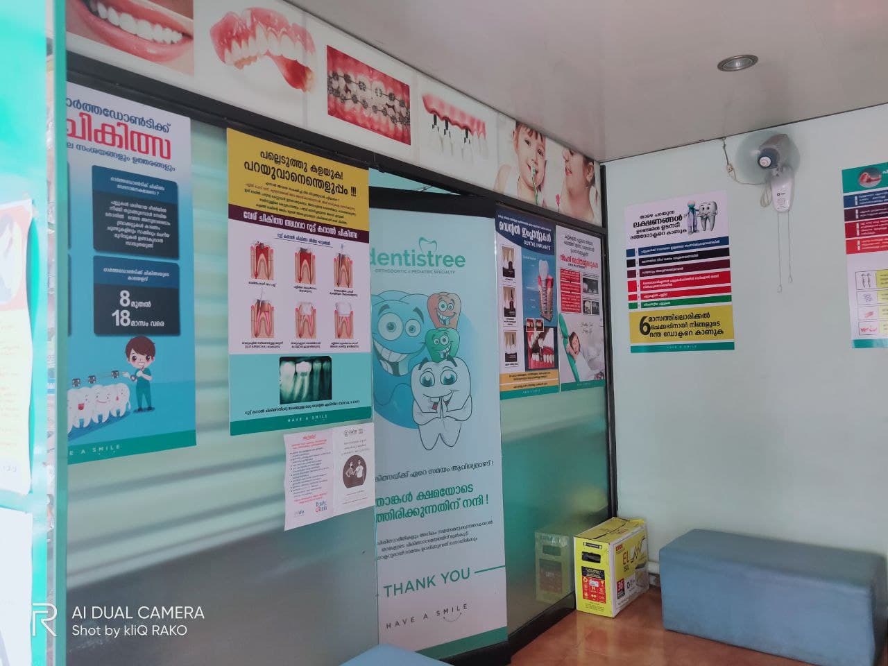 Dentistree Pediatric And Orthodontic Centre